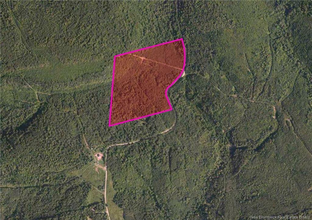 449 Harriet O'Ree Rd, Sussex, NB