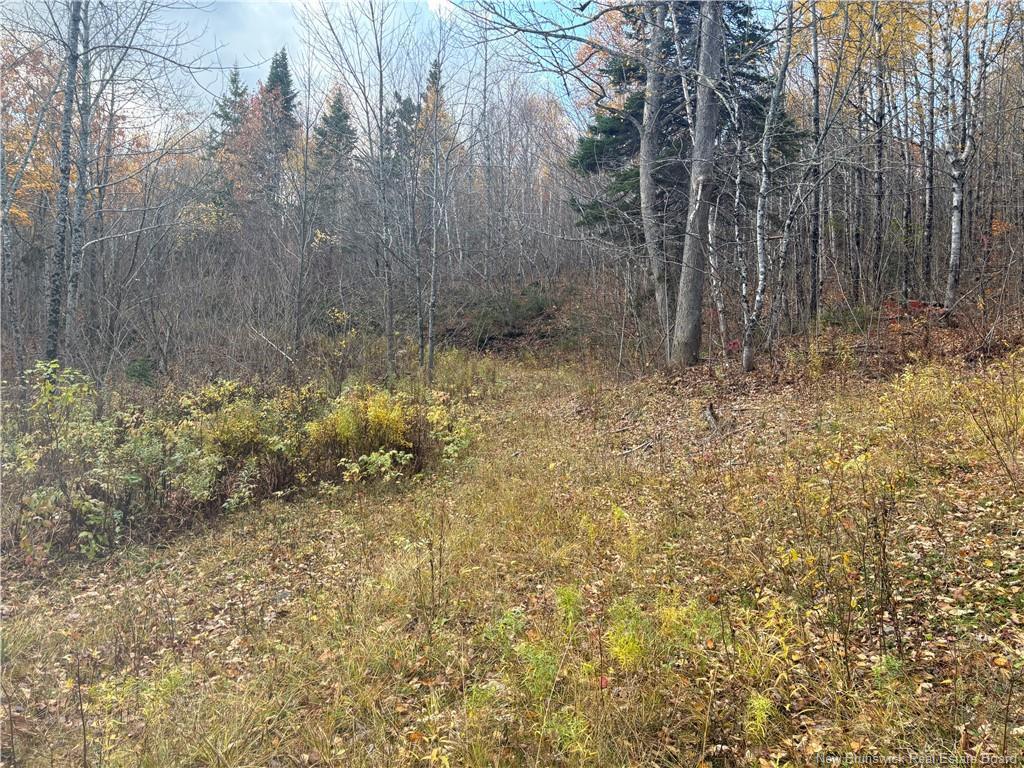 449 Harriet O'Ree Rd, Sussex, NB