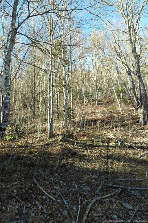 449 Harriet O'Ree Rd, Sussex, NB