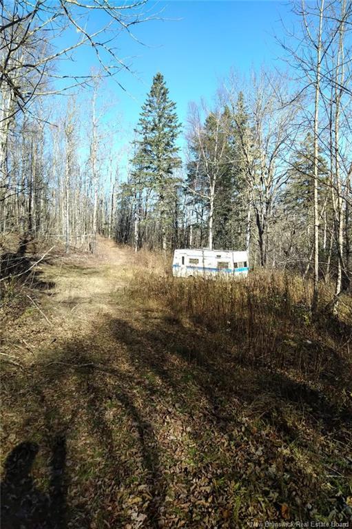 449 Harriet O'Ree Rd, Sussex, NB