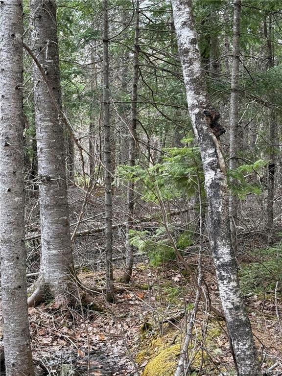 Land Route 515, Saint-Paul, NB