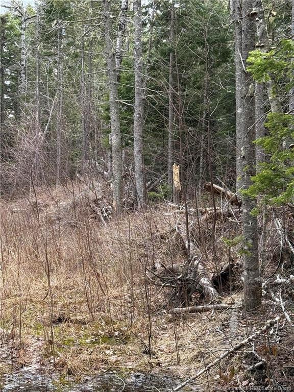 Land Route 515, Saint-Paul, NB