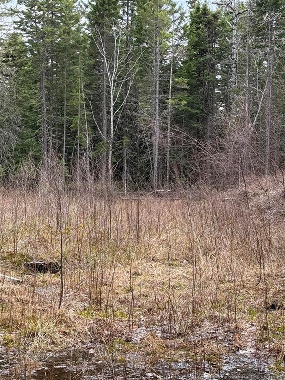 Land Route 515, Saint-Paul, NB