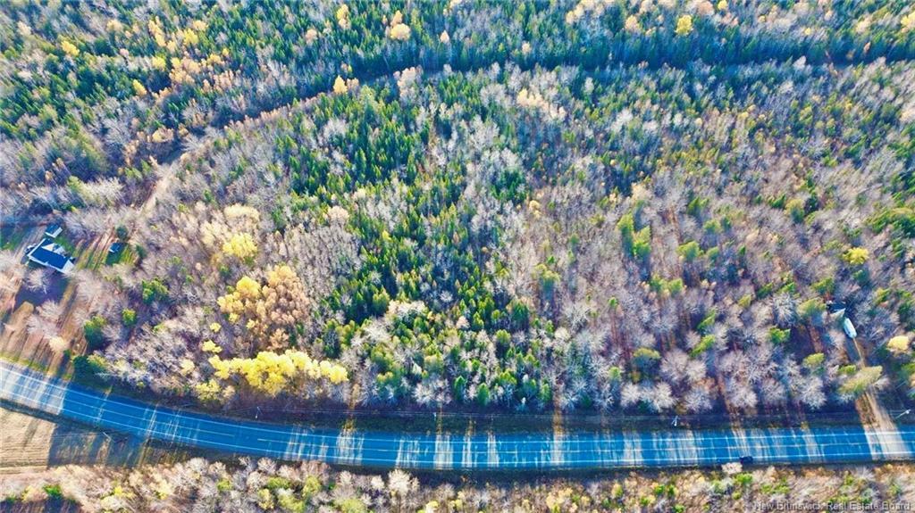 Lot Route 126, Collette, NB