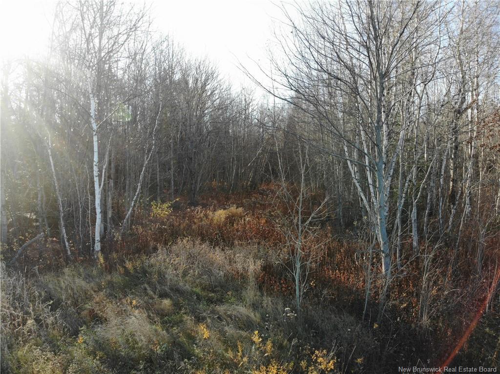 10552 Route 10, Youngs Cove, NB