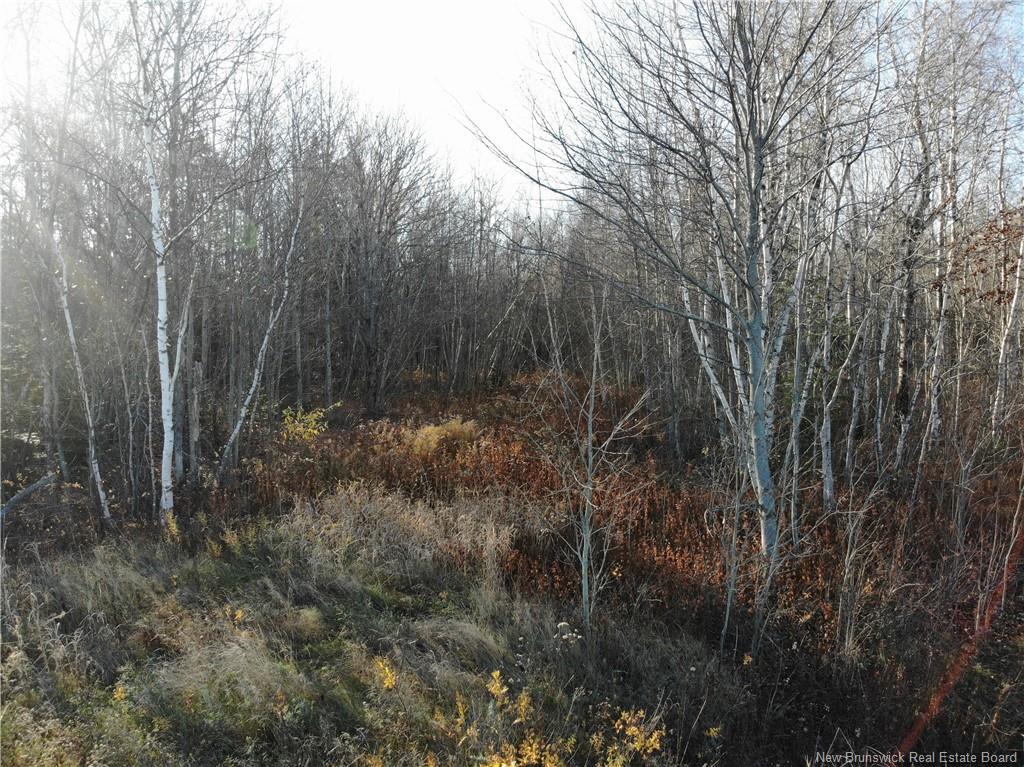 10552 Route 10, Youngs Cove, NB