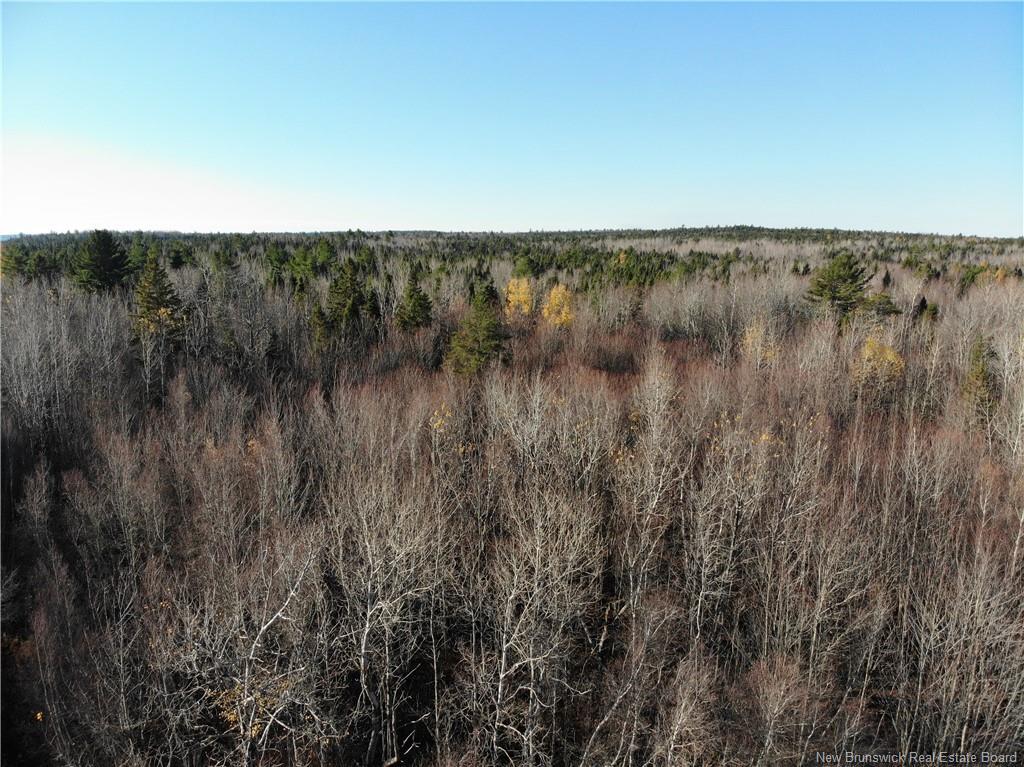 10552 Route 10, Youngs Cove, NB