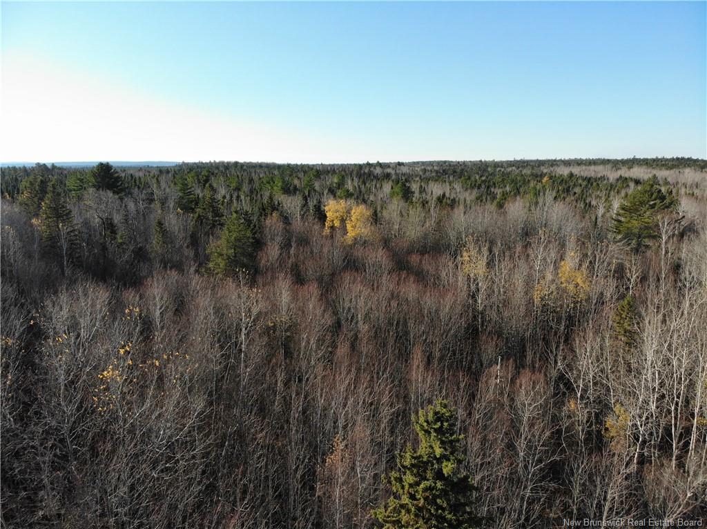 10552 Route 10, Youngs Cove, NB