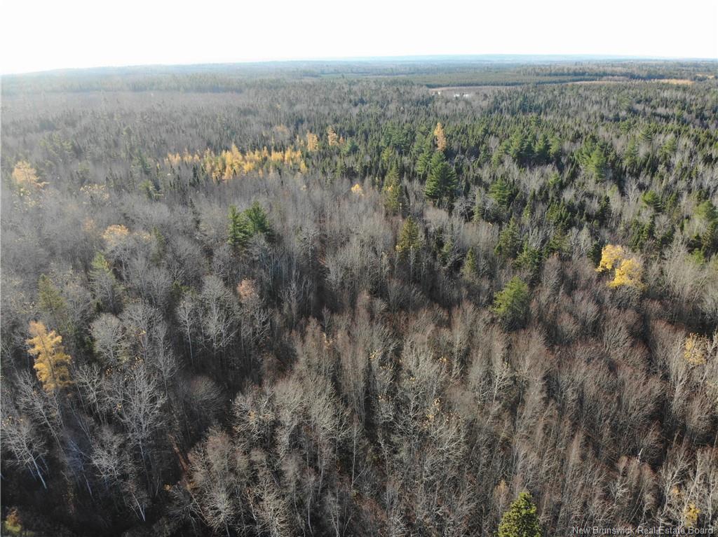 10552 Route 10, Youngs Cove, NB