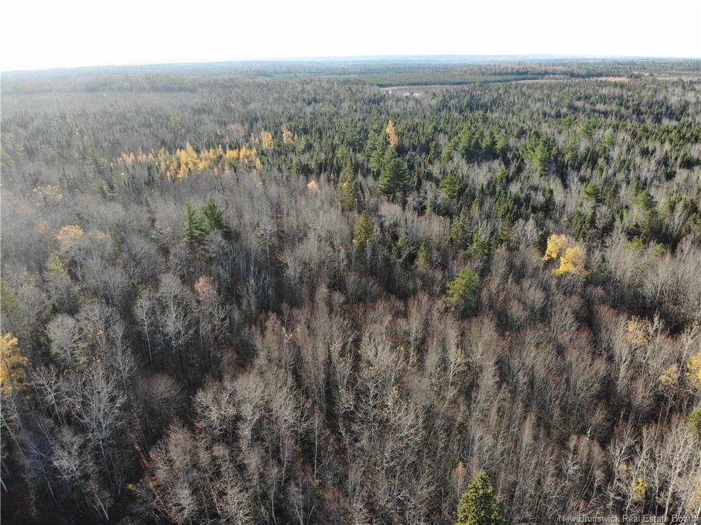 10552 Route 10, Youngs Cove, NB