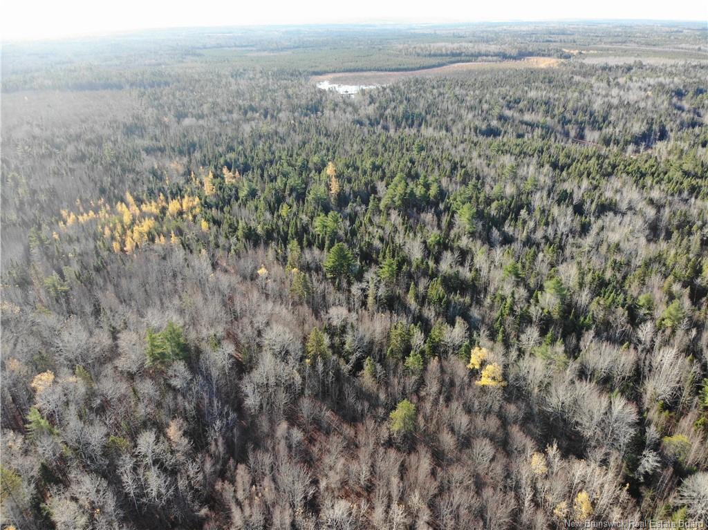 10552 Route 10, Youngs Cove, NB