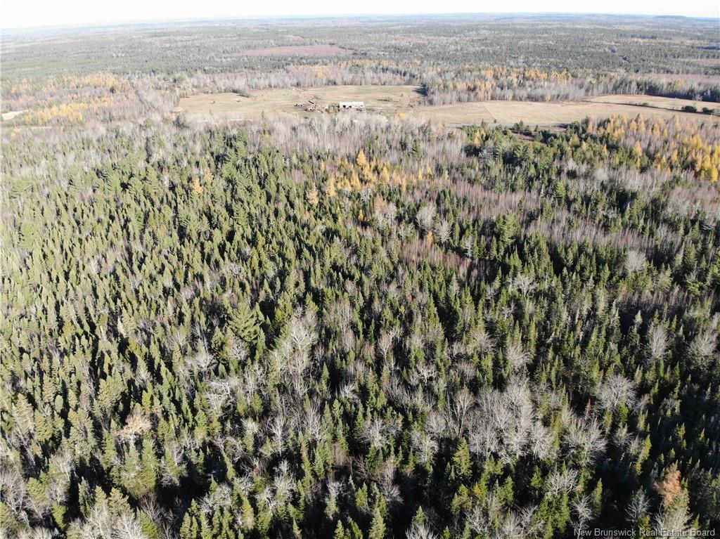 10552 Route 10, Youngs Cove, NB