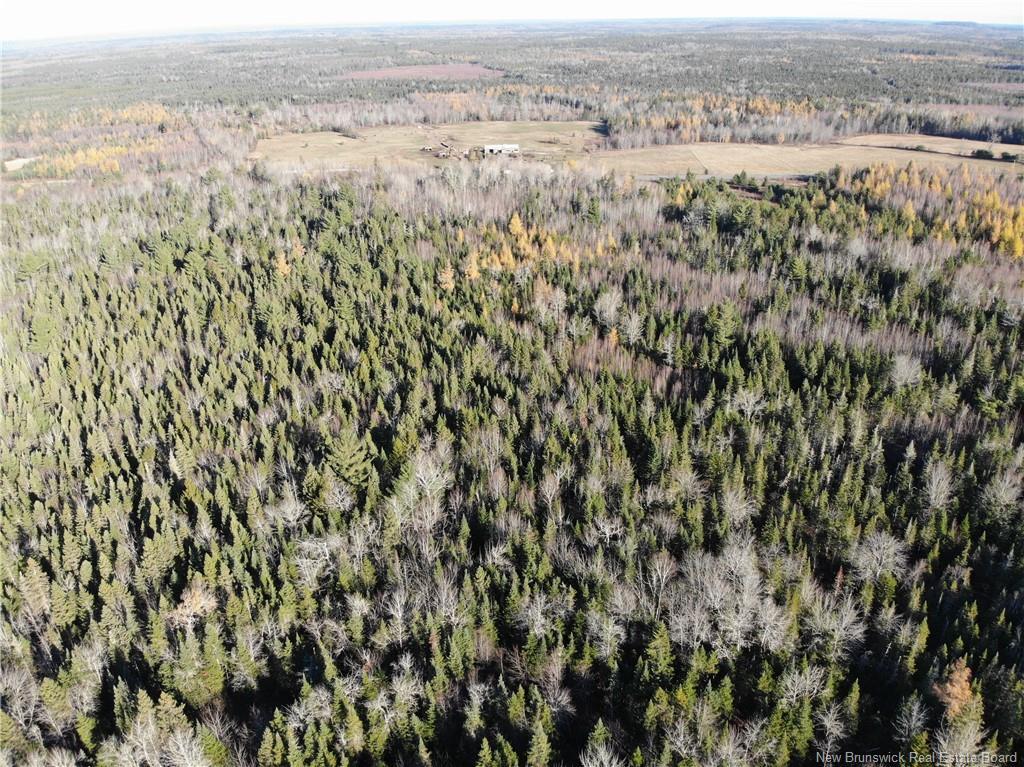 10552 Route 10, Youngs Cove, NB