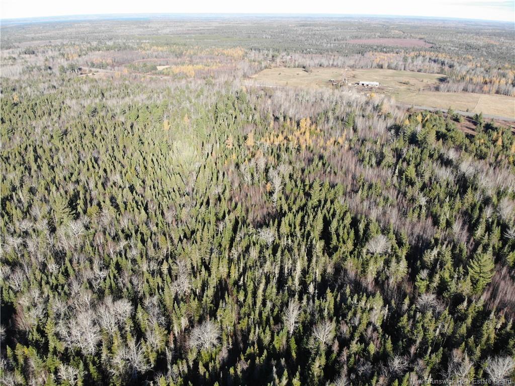 10552 Route 10, Youngs Cove, NB