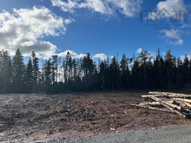 Lot 12 Northside Drive, St. Peter'S, NS