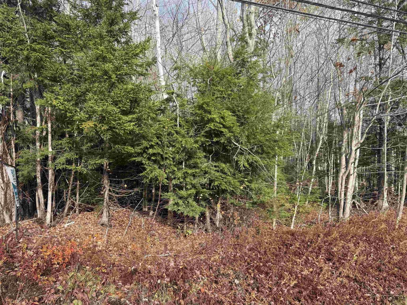 Lot Pid#60421732 Highway 325, Blockhouse, NS