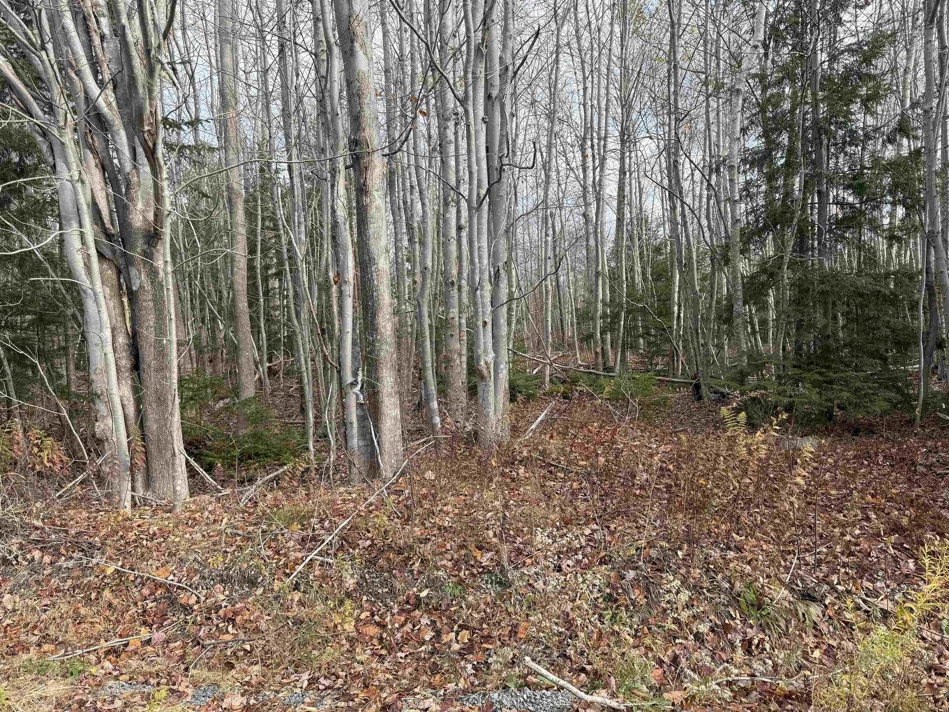 Lot Pid#60421732 Highway 325, Blockhouse, NS