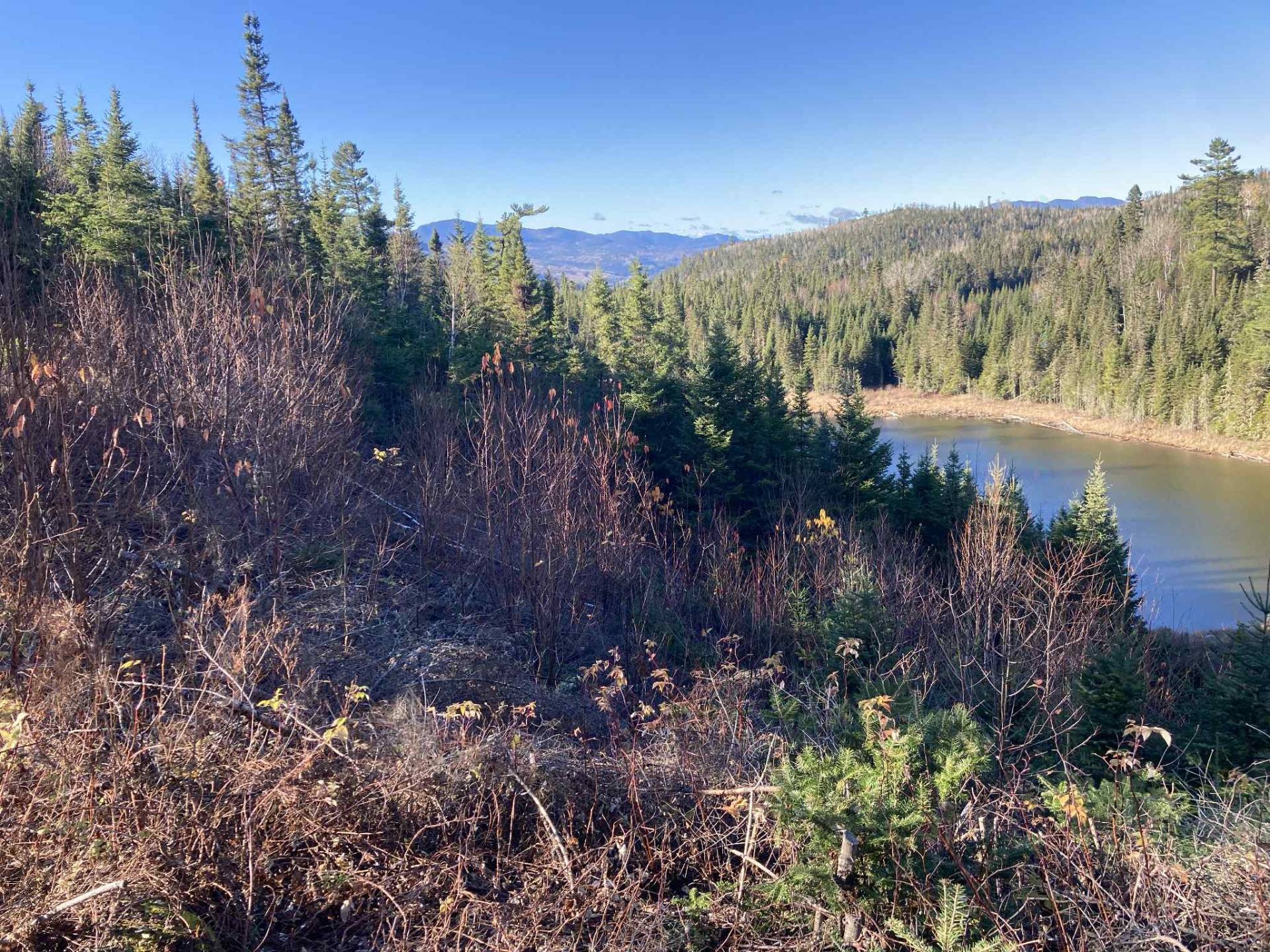 View - Lac Du Sabre, Clermont, QC - Outdoor With View
