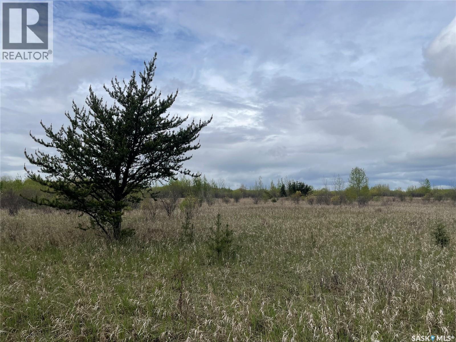 5.5Km South Of Dorintosh Lot 3, Meadow Lake Rm No.588, SK