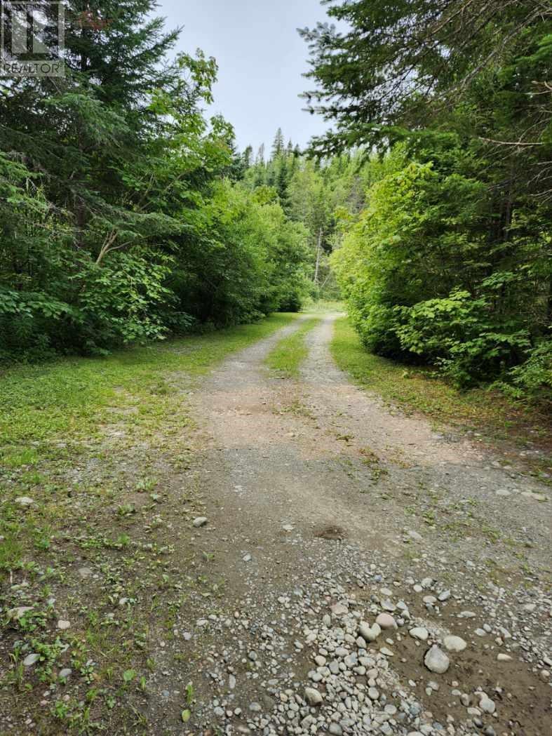 0 Gallants Road, Gallants, NL - Outdoor