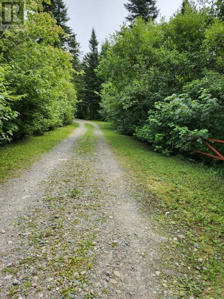 0 Gallants Road, Gallants, NL - Outdoor