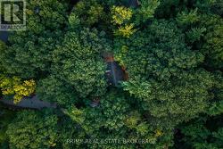 Nestled under a canopy of Oak trees -