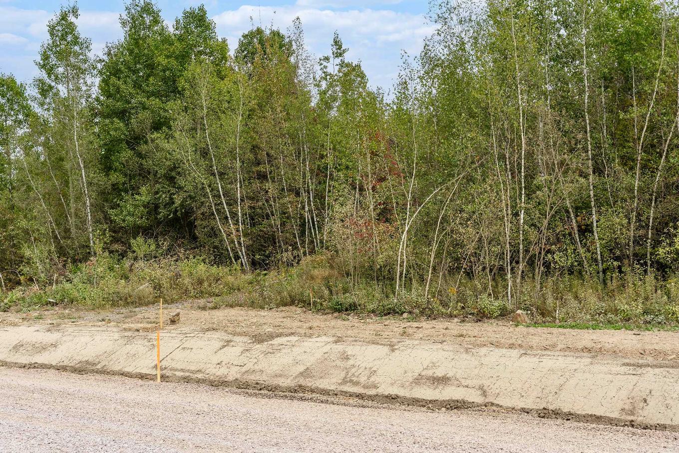 Land/Lot - 26-Rue Fréchette, Granby, QC
