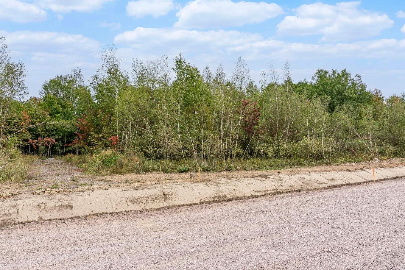 Land/Lot - 26-Rue Fréchette, Granby, QC