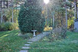 Perennial Gardens for Low Maintance -