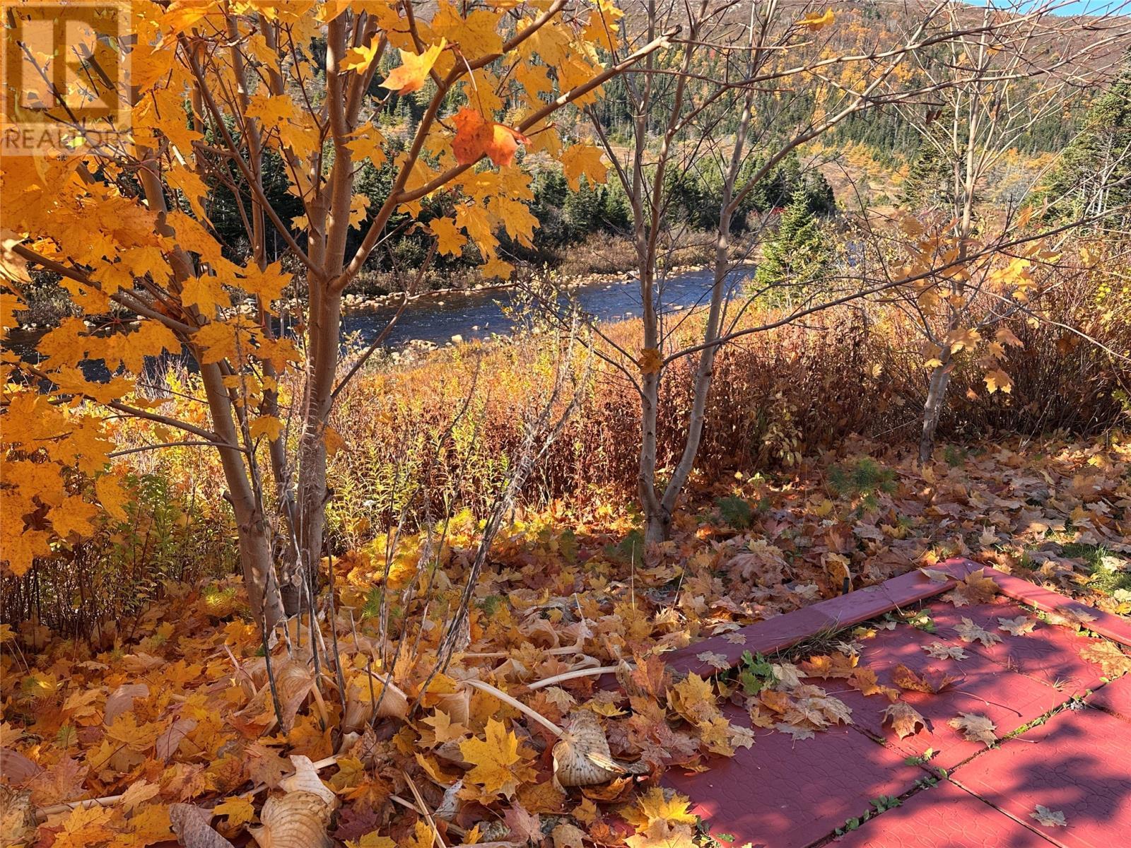 130 Main Road, Rushoon, NL - Outdoor With View