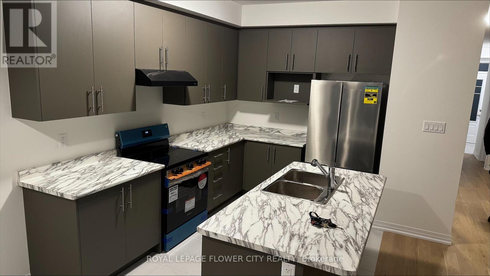 19 Velvet Way, Thorold, ON - Indoor Photo Showing Kitchen With Double Sink