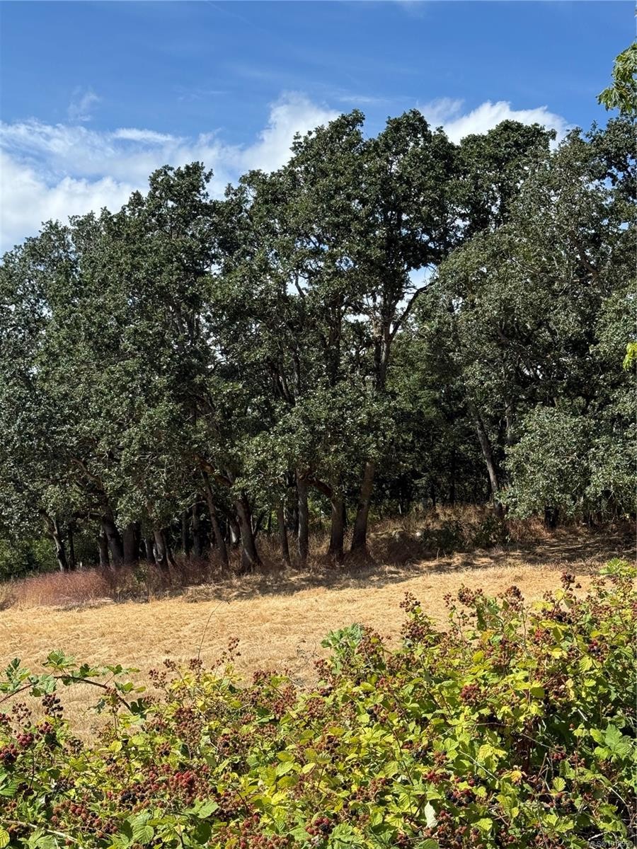 3876 Holland Ave, Saanich, BC