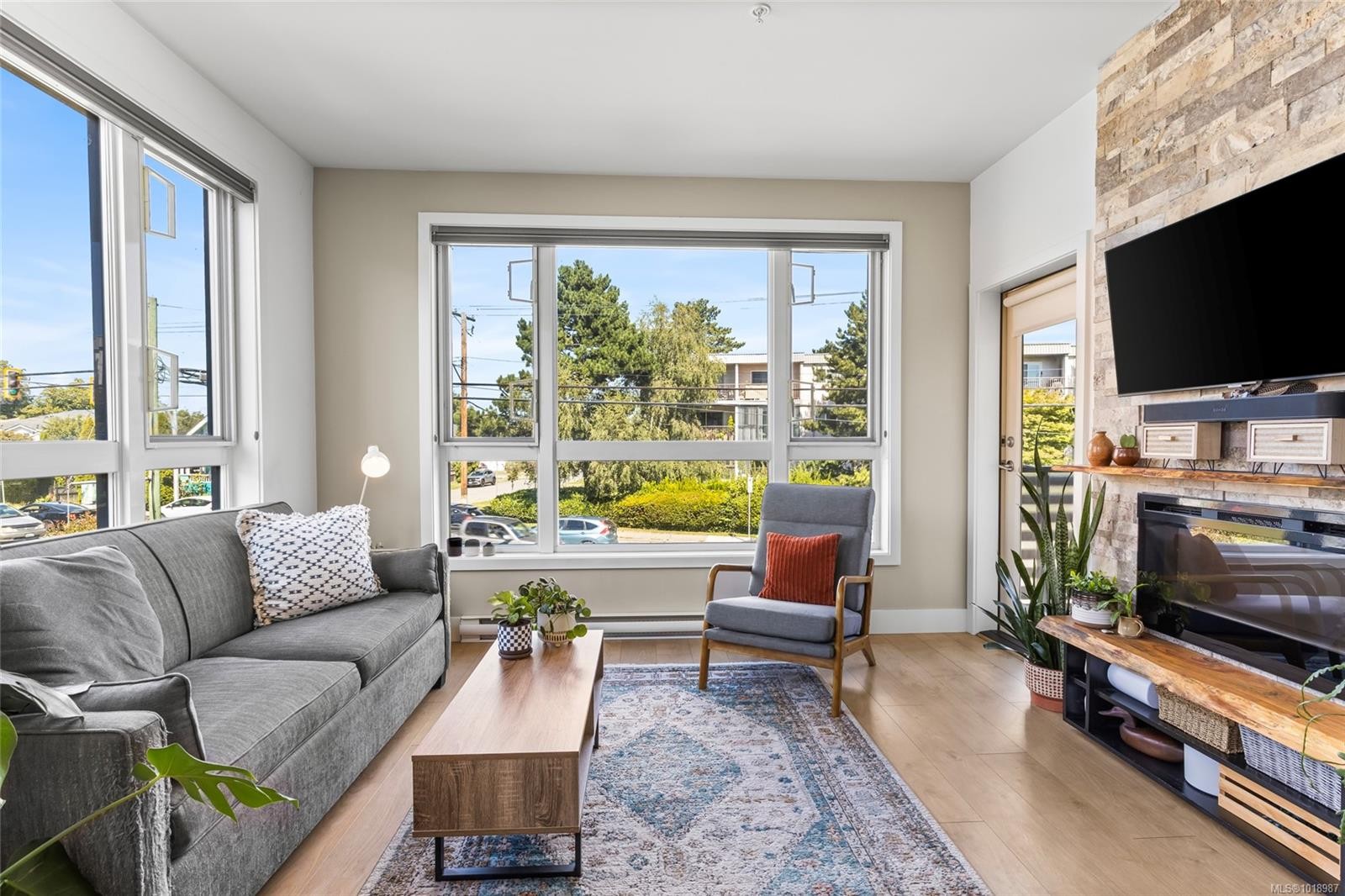 201-317 Burnside Rd East, Victoria, BC - Indoor Photo Showing Living Room