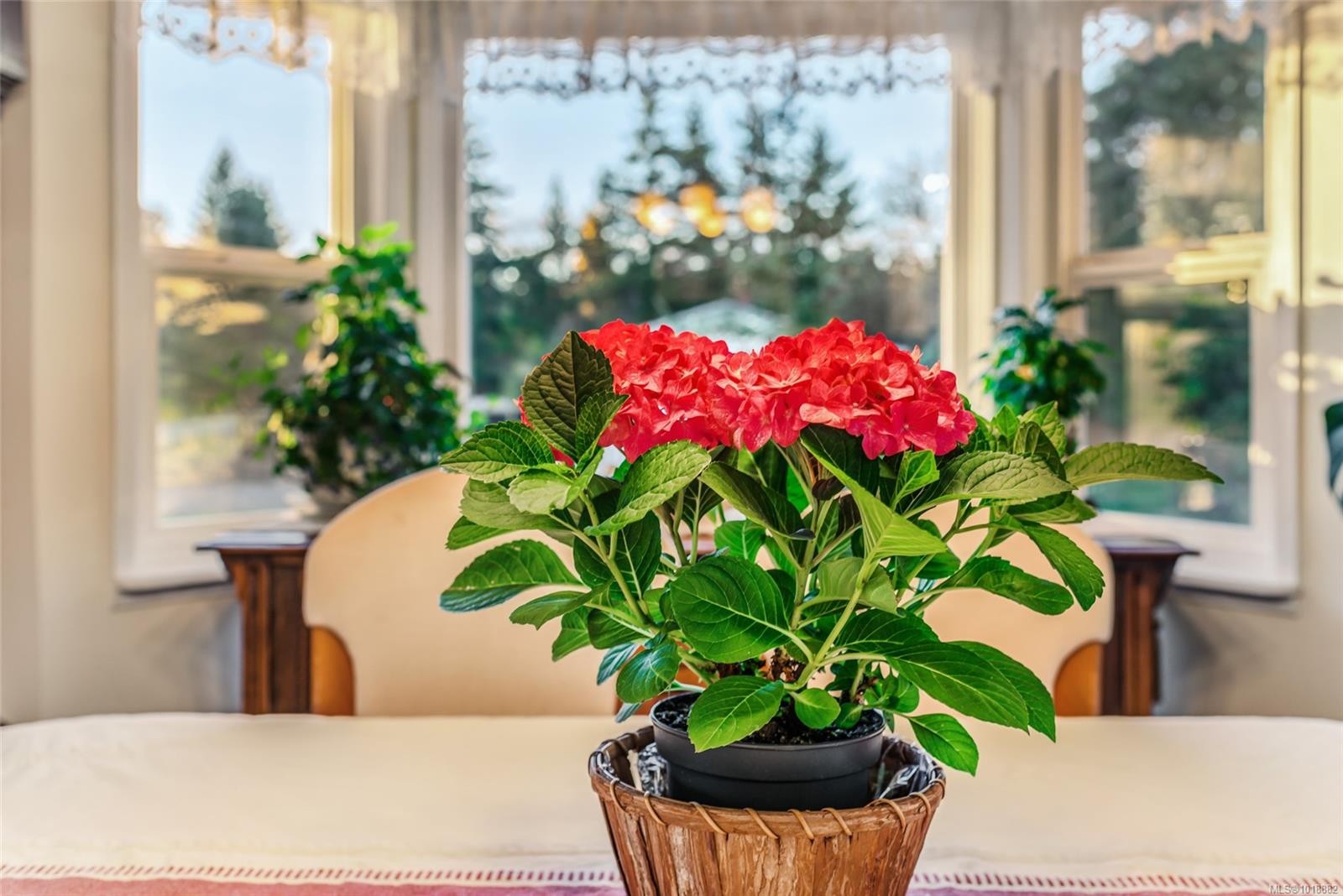 5929 Beaver Creek Rd, Port Alberni, BC