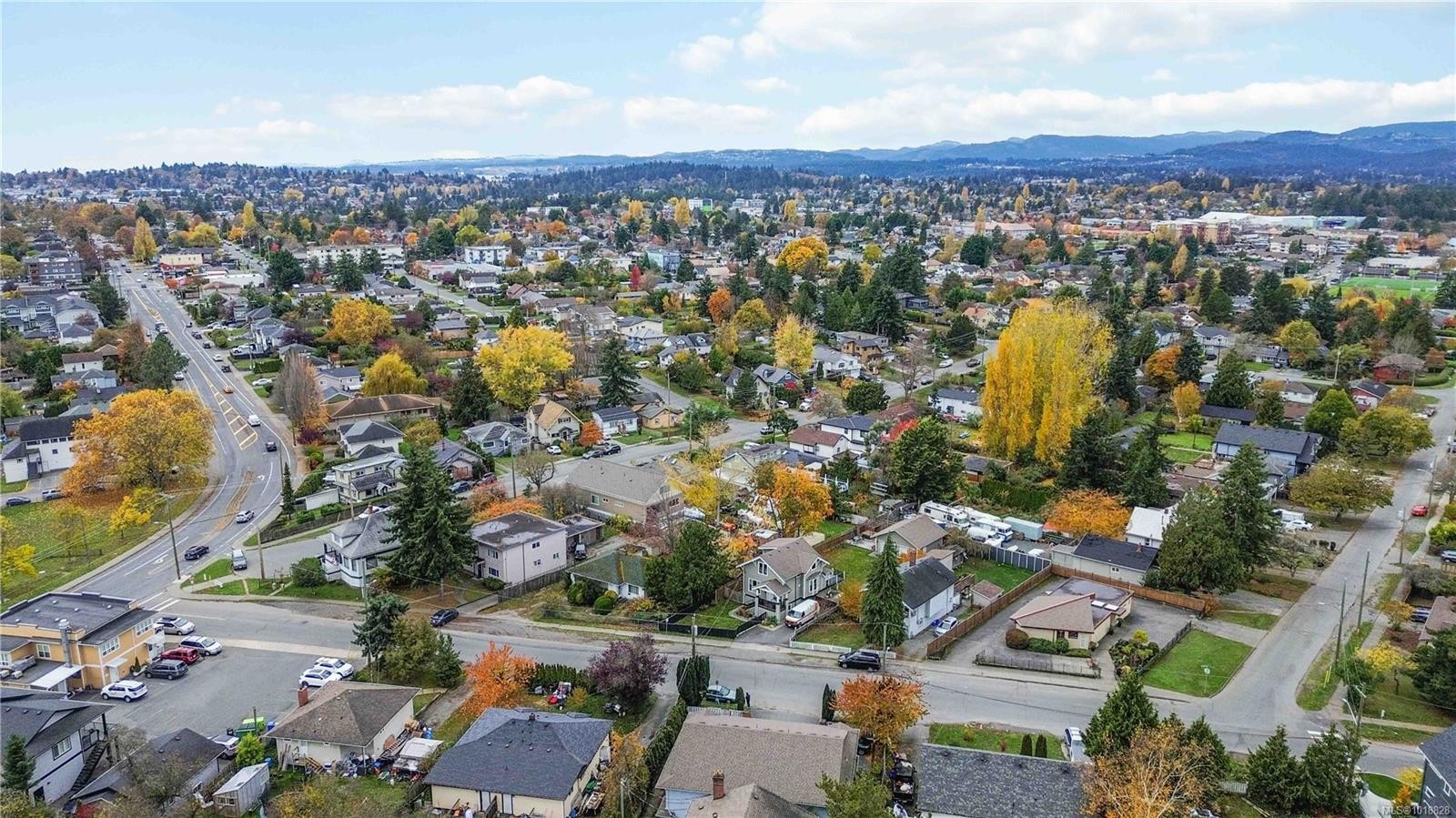 3354 Harriet Rd, Saanich, BC