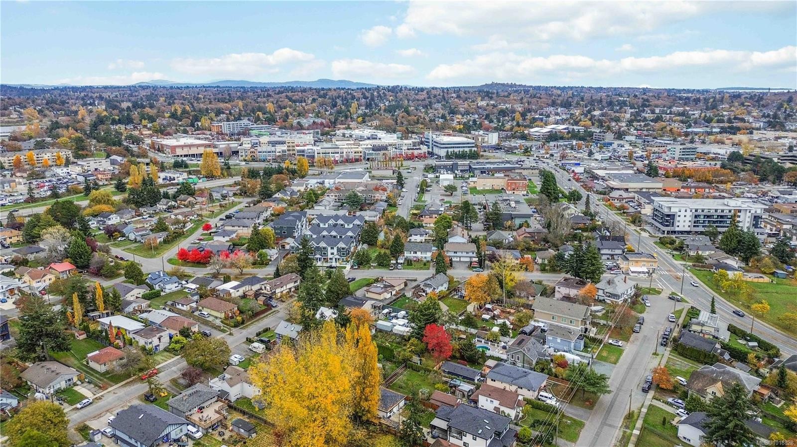 3354 Harriet Rd, Saanich, BC