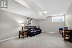 Big fully finished basement -