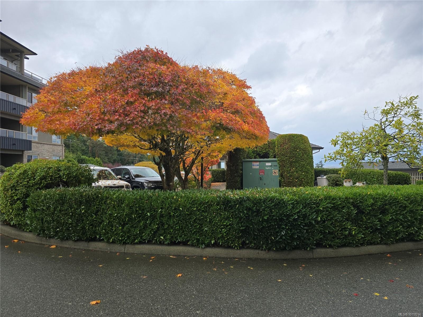 404-6728 Dickinson Rd, Nanaimo, BC - Outdoor