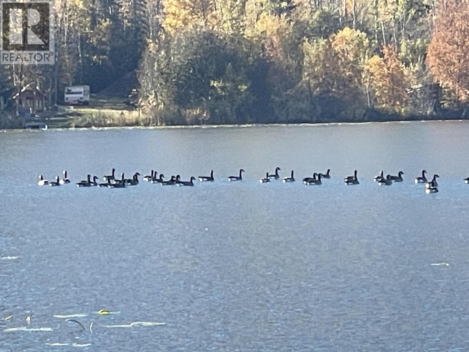 14 Pavilion Place, Smithers, BC