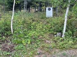 17 Au Lac Retreats Road Sioux Narrows, ON P0X 1N0