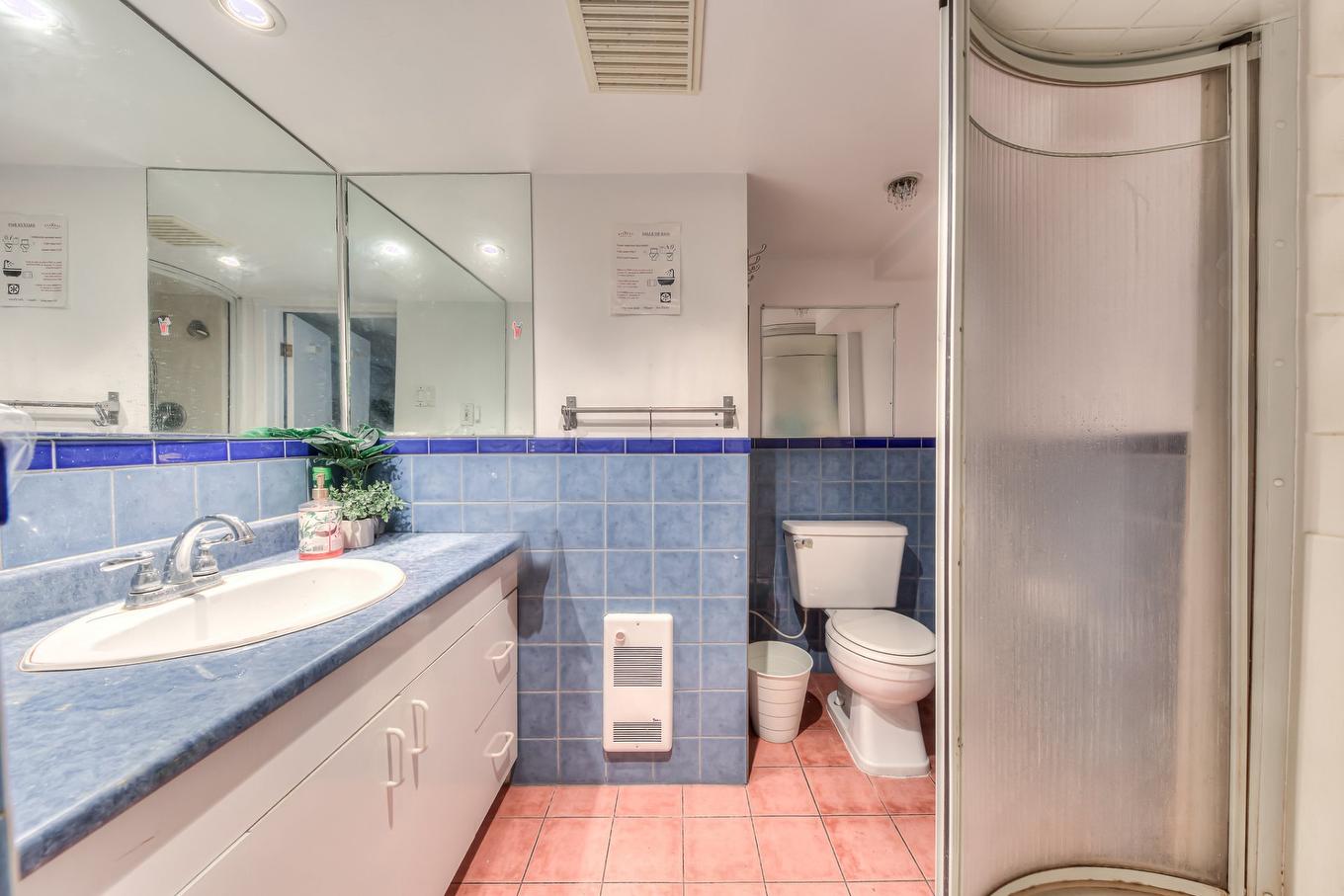 Salle de bains - 2351 Rue Dickson, Montréal (Mercier/Hochelaga-Maisonneuve), QC - Indoor Photo Showing Bathroom