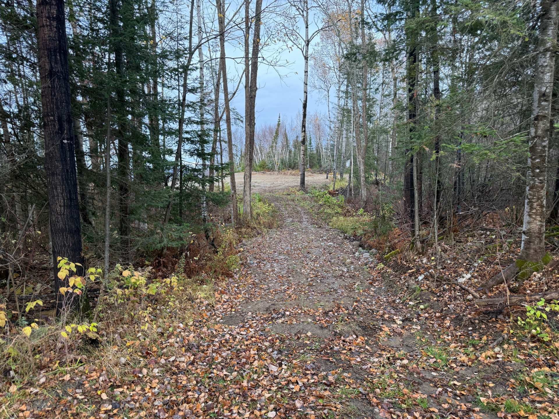 Terre/Terrain - 1165 Ch. De Grassy Narrow, Moffet, QC
