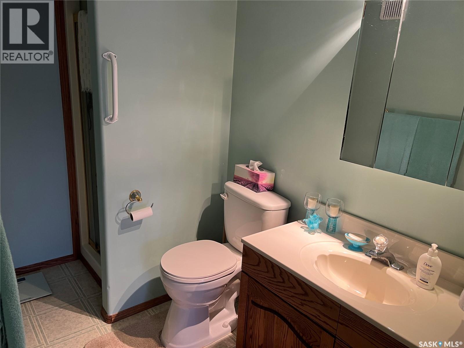 42 7Th Street Ne, Wadena, SK - Indoor Photo Showing Bathroom