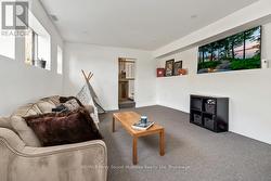 Bright lower level family room -