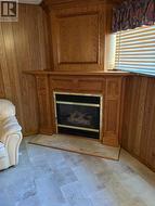 GAS FIREPLACE -