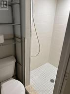 BASEMENT LEVEL SHOWER -
