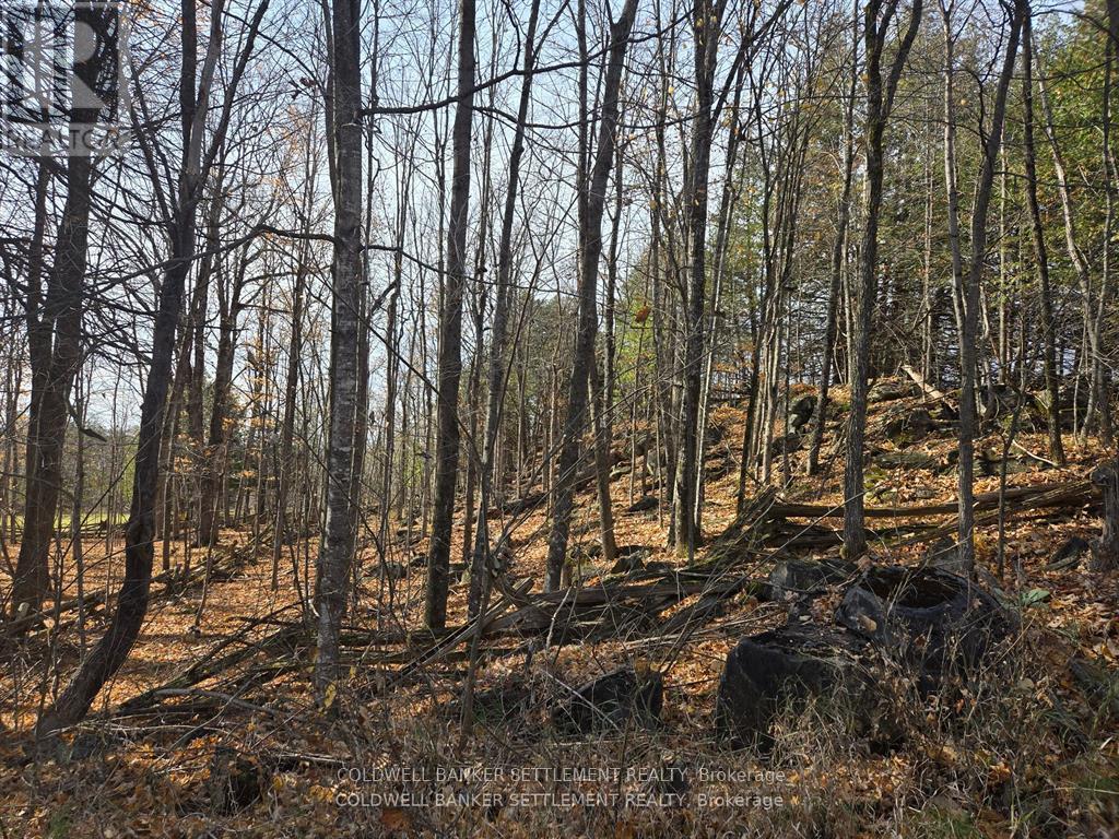 0 Dalhousie Con 8 Concession, Lanark Highlands, ON