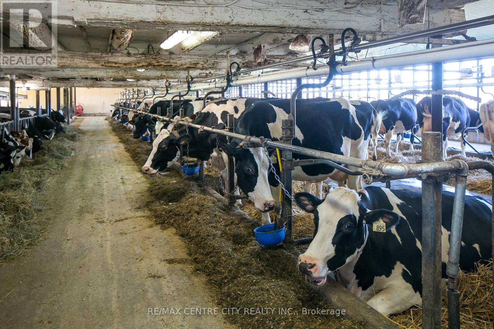 595224 4Th Line, Blue Mountains, ON - Indoor