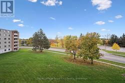 Balcony View overlooking the park -