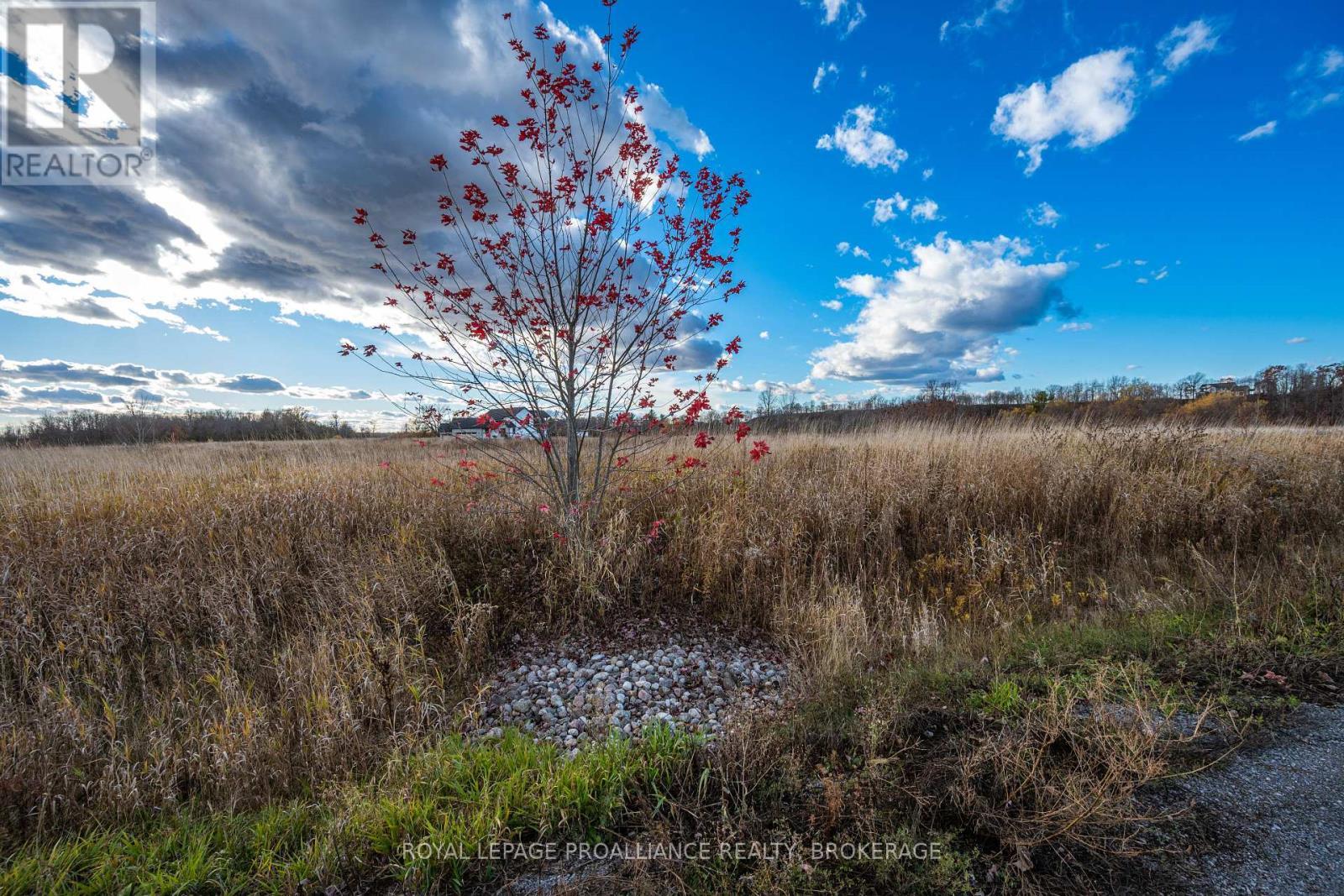 201 Mann Drive, Kingston (City North Of 401), ON